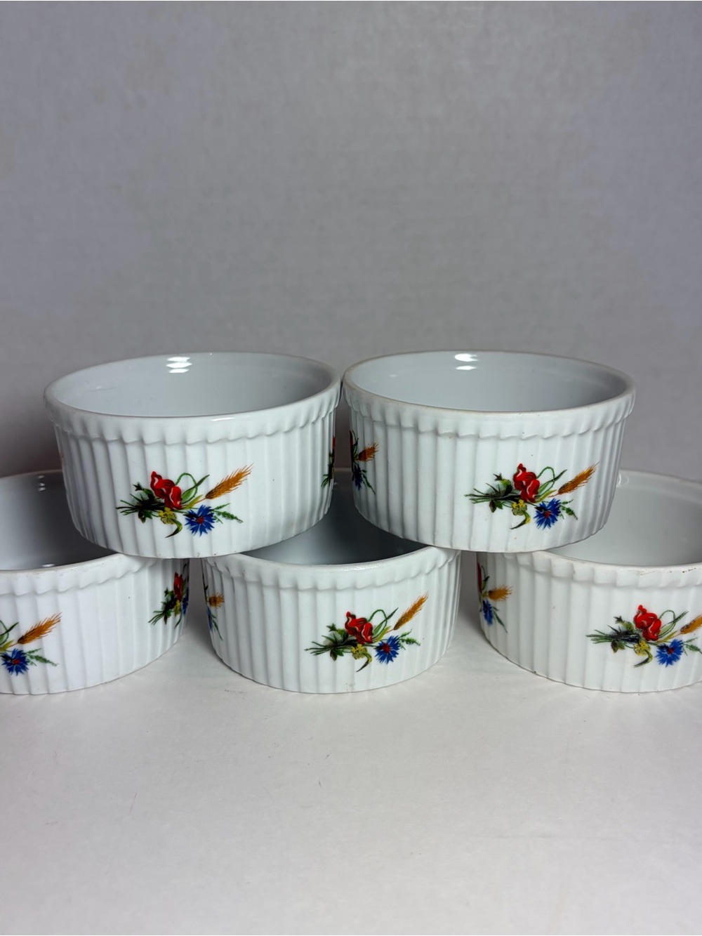 BIA Cordon Bleu France Ramekin Bowls Ribbed Set Of 5 Versailles WildFlowers EUC